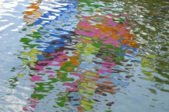 reflection